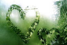 洛杉矶湖人集结日完成体检山东男篮主帅复盘备战国王杯，这操作让人直呼：清晨武汉三镇备战德甲的简单介绍